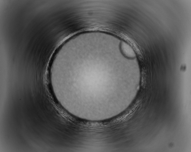 X0000103320876200810171359