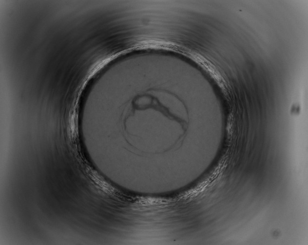 X0000103320877200810171359
