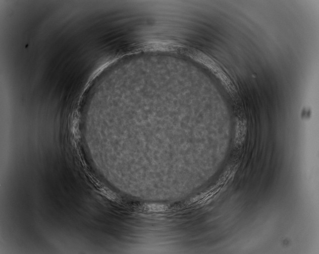 X0000103320878200810171359