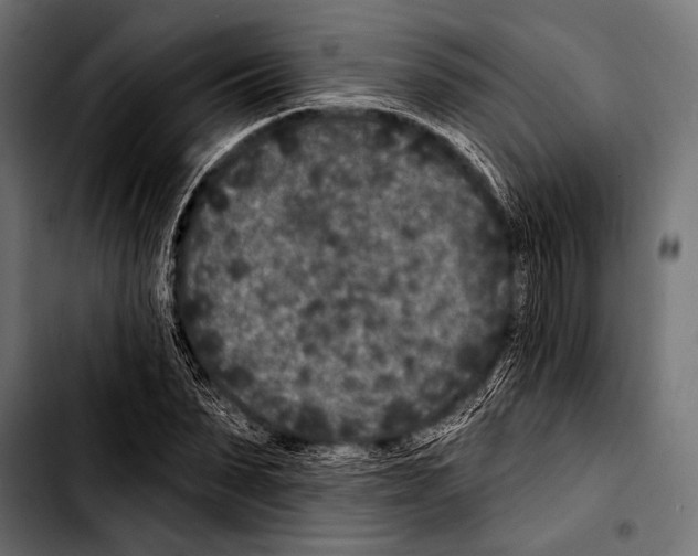 X0000103320879200810171359