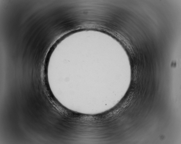 X0000103320880200810171359
