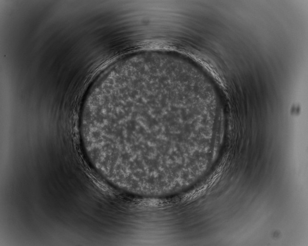 X0000103320881200810171359