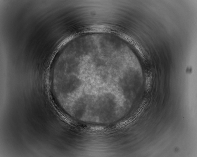 X0000103320882200810171359