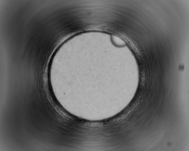 X0000103320884200810171359