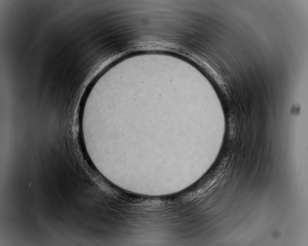 X0000103320885200810171359