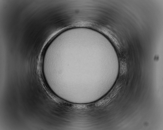 X0000103320886200810171359