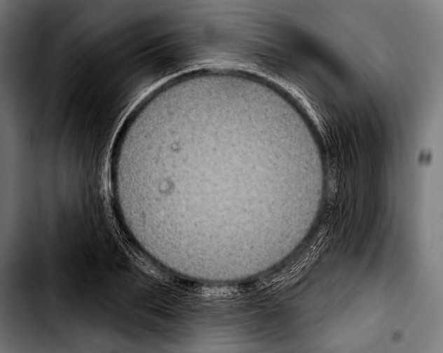 X0000103320887200810171359