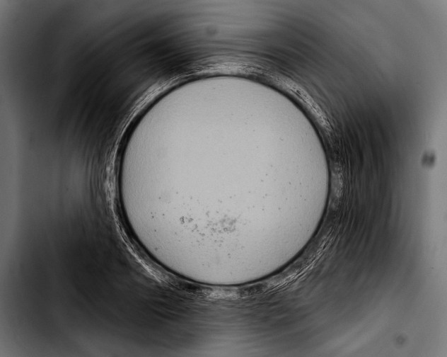 X0000103320890200810171359