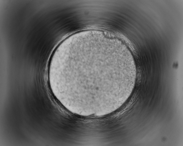 X0000103320892200810171359
