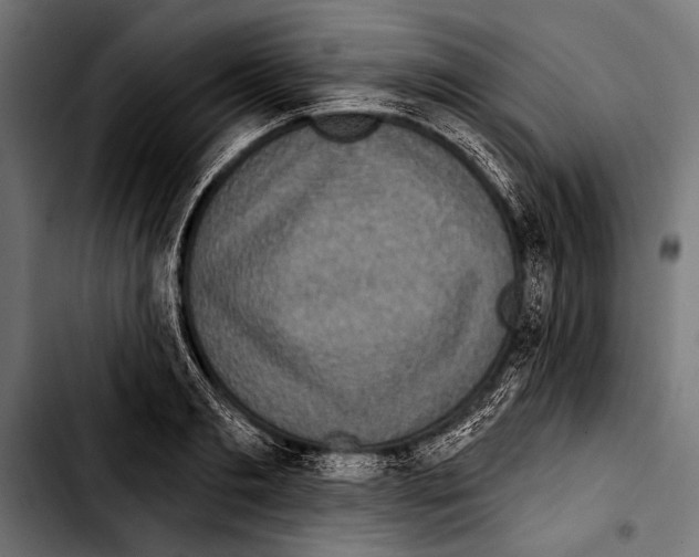 X0000103320893200810171359