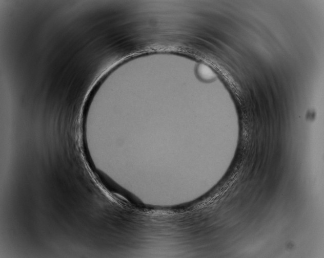 X0000103320894200810171359