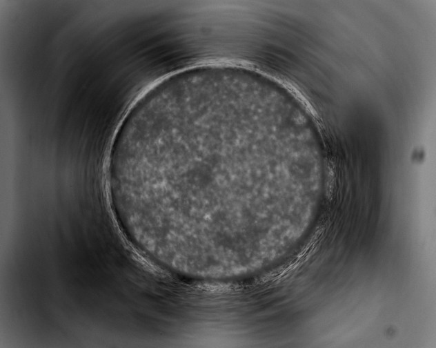 X0000103320895200810171359