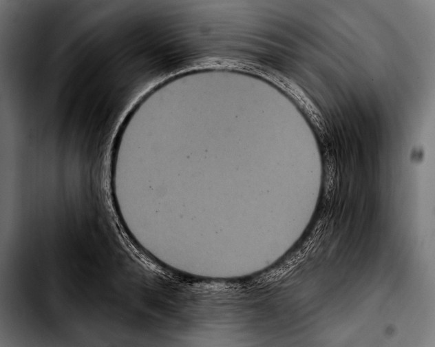 X0000103320896200810171359