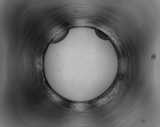 X0000103320897200810171358