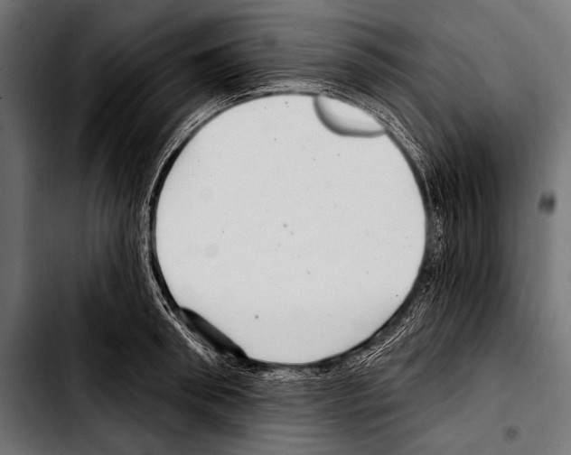X0000103320898200810171358