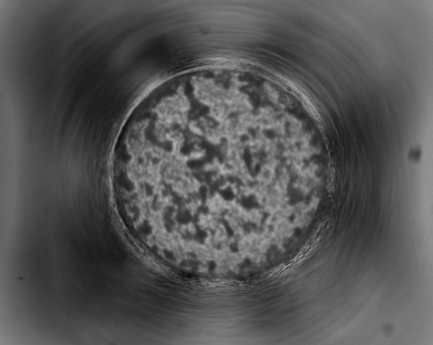 X0000103320899200810171358