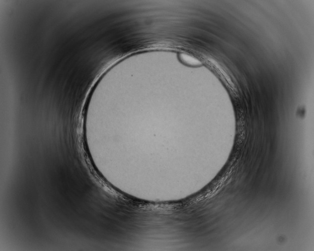 X0000103320900200810171358