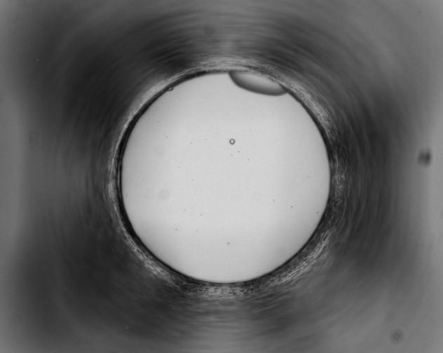 X0000103320901200810171358