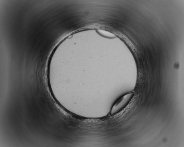 X0000103320902200810171358