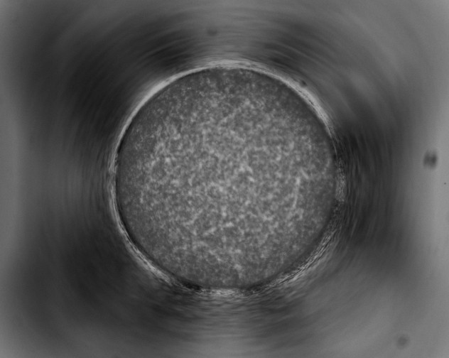 X0000103320903200810171358