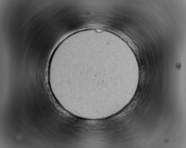 X0000103320904200810171358