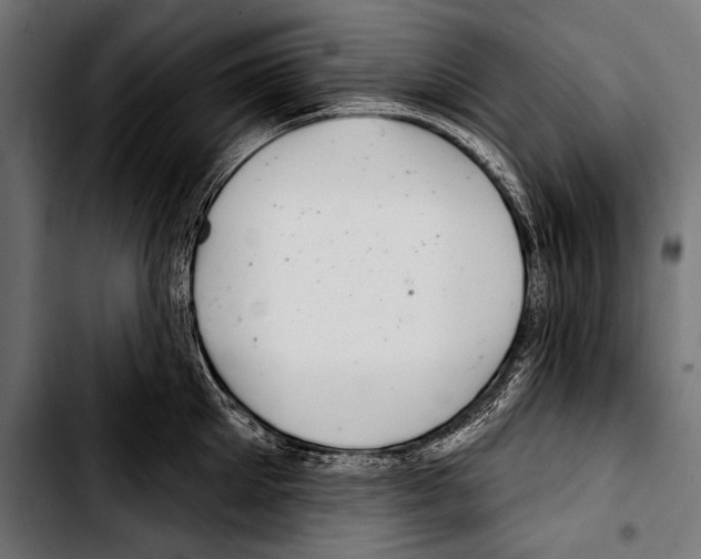 X0000103320905200810171358