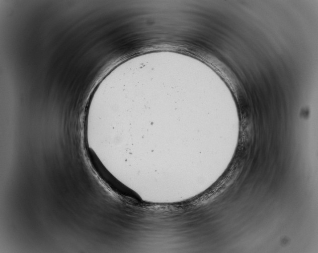 X0000103320906200810171358