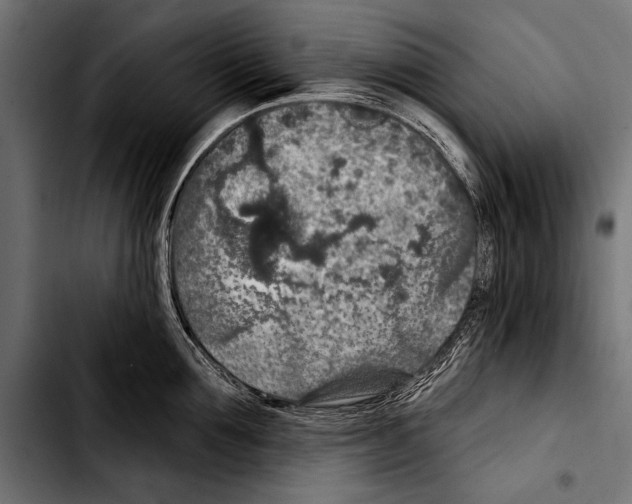 X0000103320907200810171358