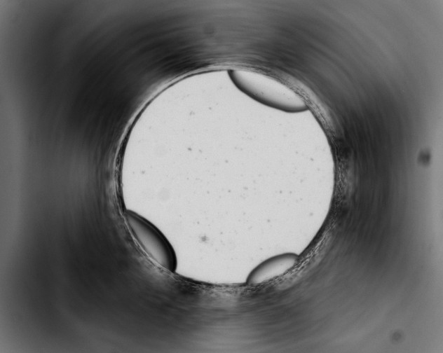 X0000103320908200810171358