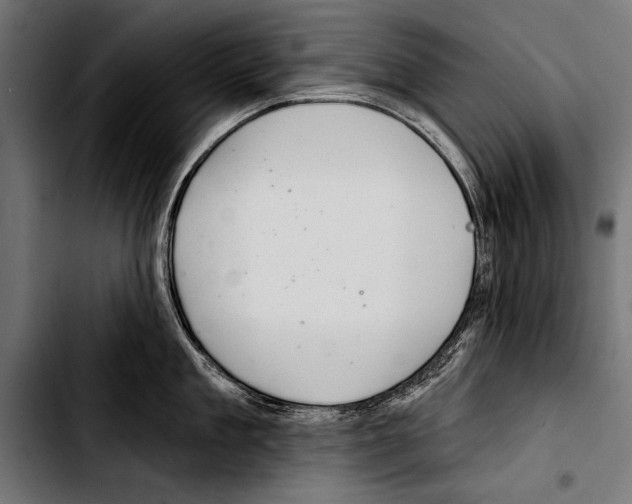 X0000103320909200810171358