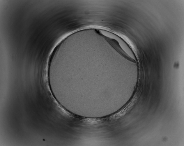 X0000103320910200810171358