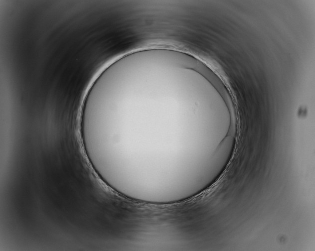 X0000103320912200810171358