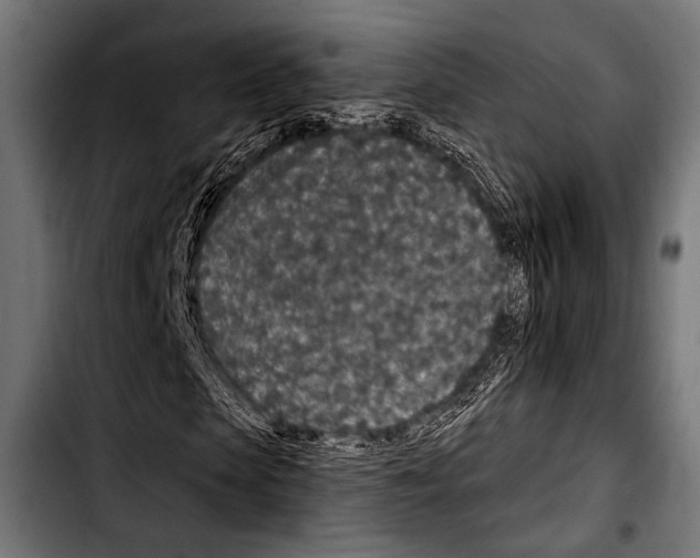 X0000103320913200810171357