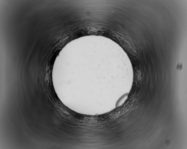 X0000103320914200810171357