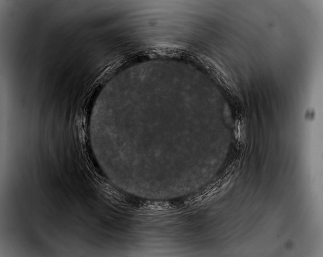 X0000103320915200810171357