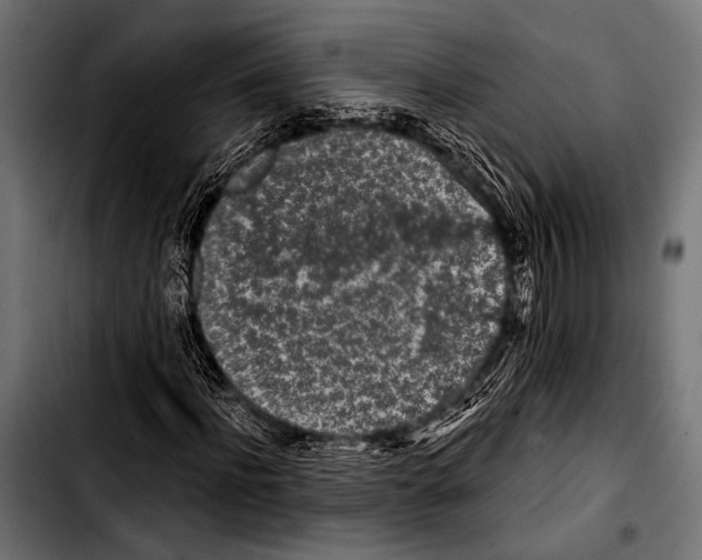X0000103320916200810171357