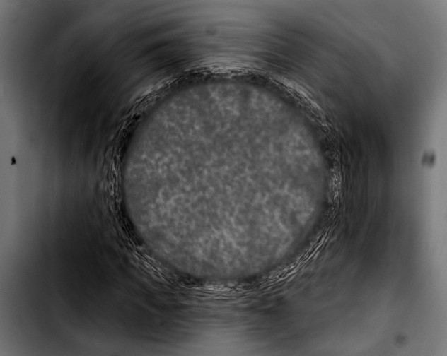 X0000103320917200810171358