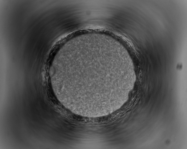 X0000103320920200810171358