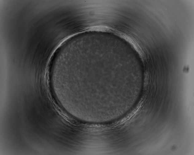 X0000103320923200810171358