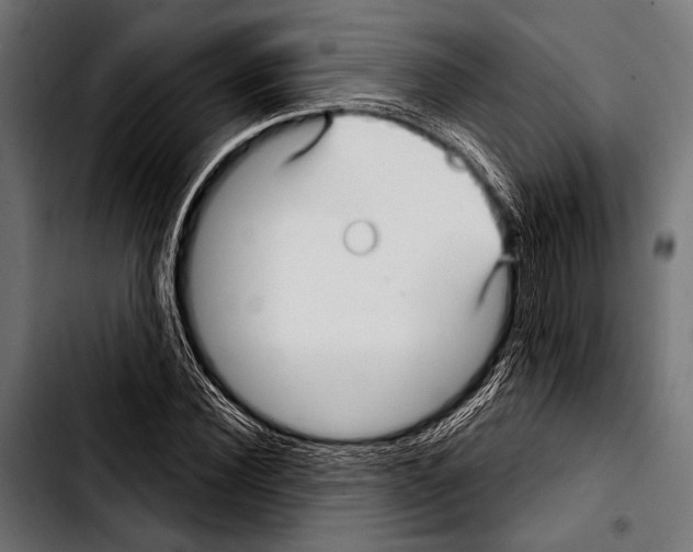 X0000103320924200810171358
