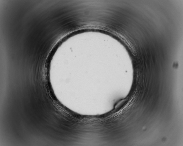 X0000103320926200810171358