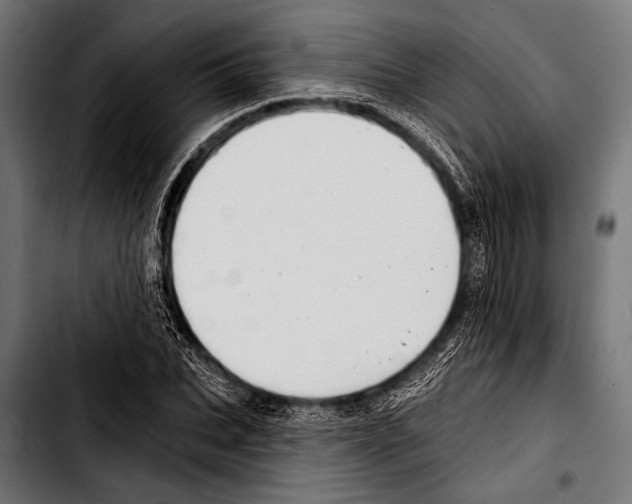 X0000103320927200810171358