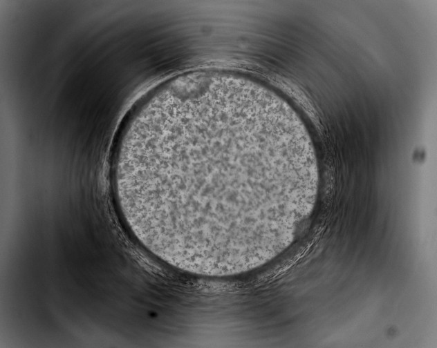 X0000103320928200810171358