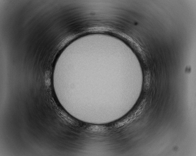 X0000103320929200810171358