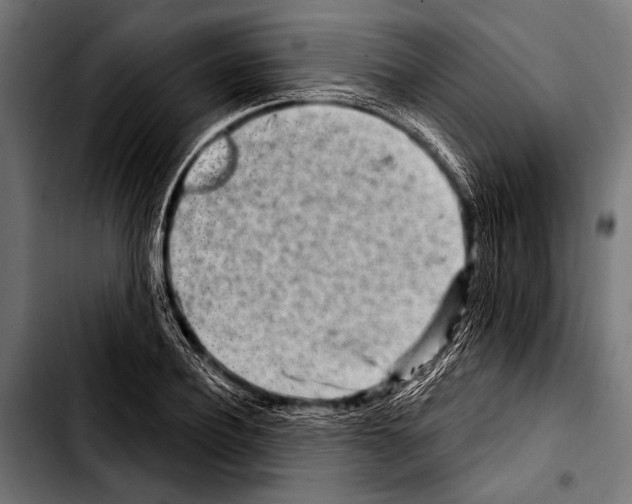 X0000103320932200810171358
