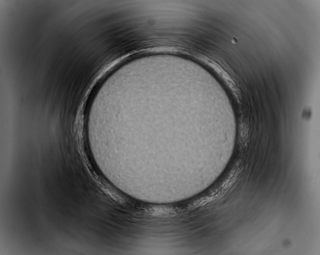 X0000103320933200810171358