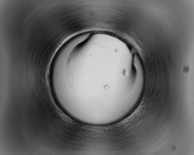 X0000103320934200810171358