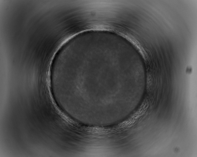 X0000103320935200810171358