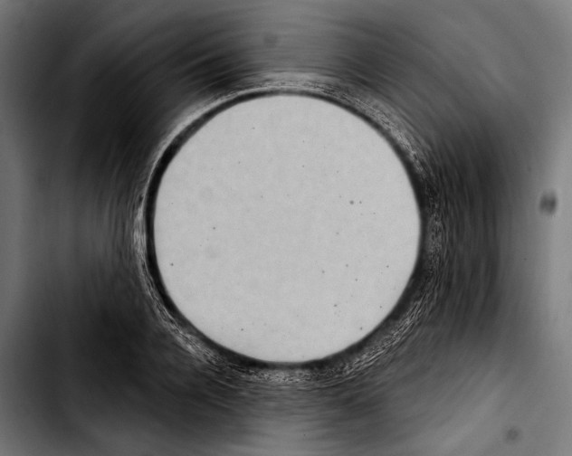 X0000103320936200810171358
