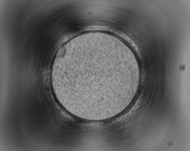 X0000103320937200810171358